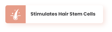 Stimulates Hair Stem Cells