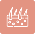 Protocol icon