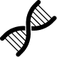 Surgical Repigmentation