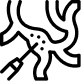 Surgical Repigmentation